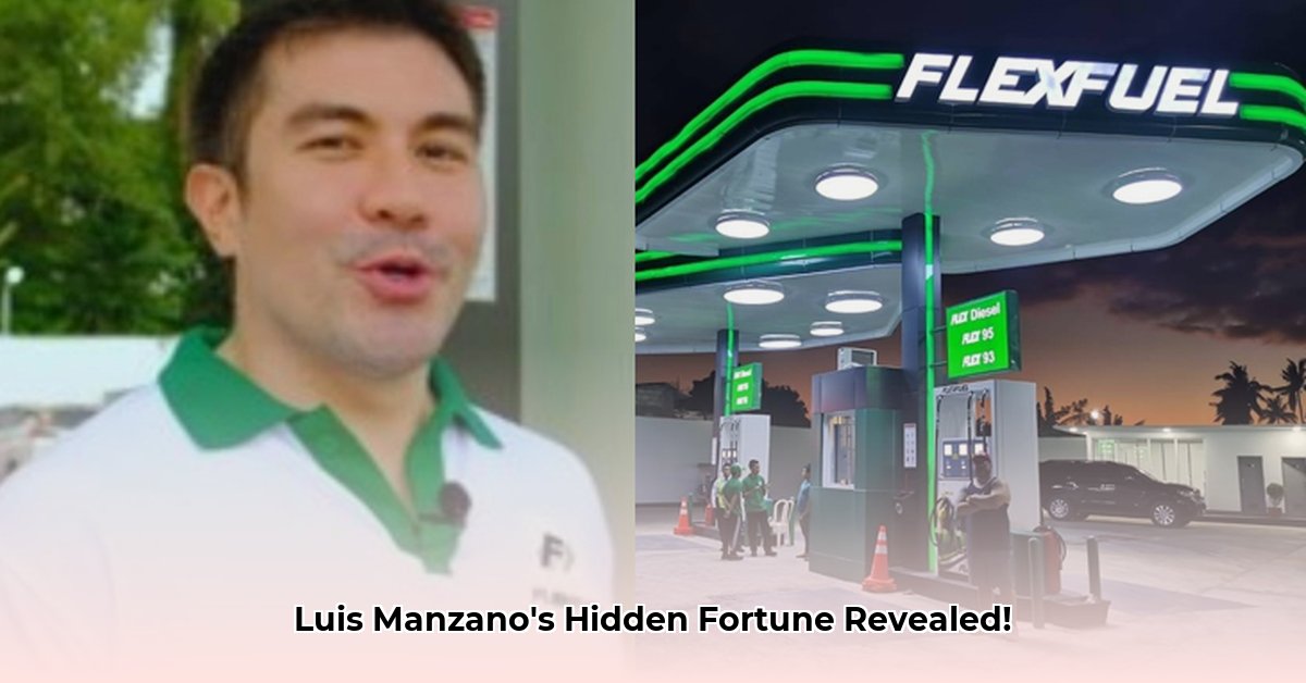 luis-manzano-net-worth